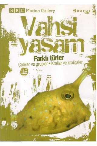 Bbc Motion Gallery - Vahşi Yaşam Farklı Türler Çeteler Ve Gruplar Krallar Ve Kraliçeler - Dvd