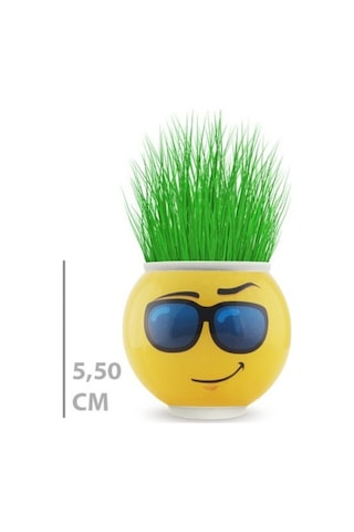 Büro Ev Ofis Dekoru İçin Emoji Figürlü Çim Adam Saksı