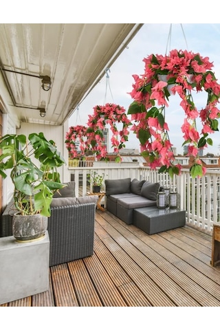 Yapay Çiçek Begonvil Pembe Sarkaç Askılı Saksıda Balkon Çiçeği Çiçek Sepeti