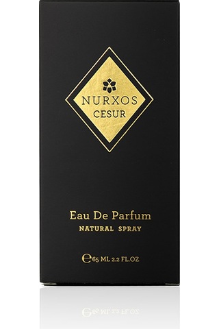 Nurxos 9788 Cesur Erkek Parfümü 8681124697882 65 ML
