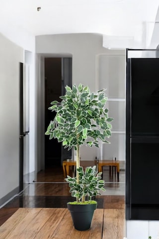 150 Cm Ficus Yapay Ağaç Bambu 2 Gövdeli Siyah Plastik Saksı Yeşil
