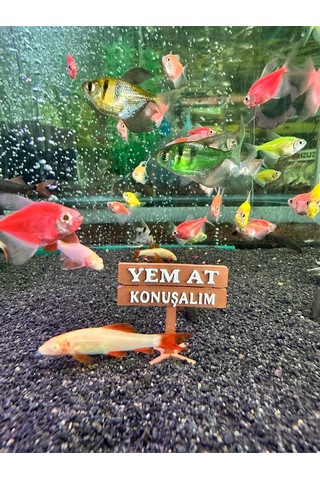 Akvaryum Tabela Dekoru Yem At Konuşalım 4.5x5 Cm Suya Batan Model Tbl-45-yem, One Size