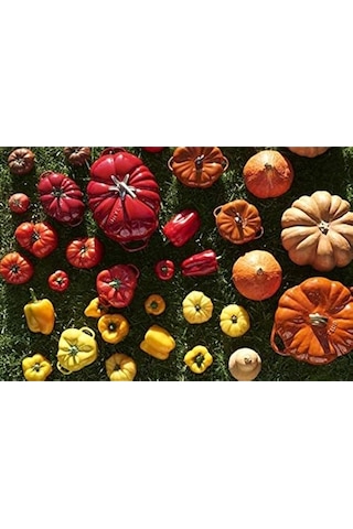 Staub Zwilling - Ceramic By Paprika Cocotte - Sarı - Seramik - Y: Diğer