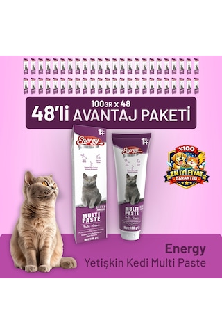 Yetişkin Kedi Multi Paste 100 G - 48 Adet