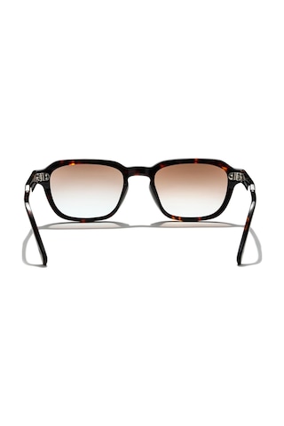 Zen Milano Eyewear Lt4012-c2 51 Unisex Güneş Gözlüğü Havana