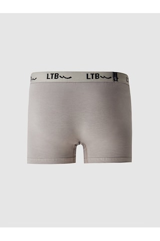Ltb Basıc Erkek Boxer Gri 540130418