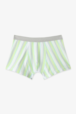 Penti Renkli Erkek Çocuk Dino 3'lü Boxer