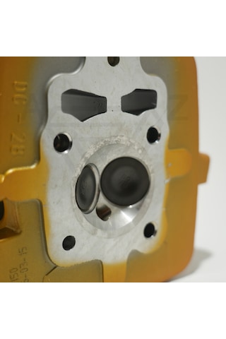 Cg 150 Üst Kapak Gold Çita 001