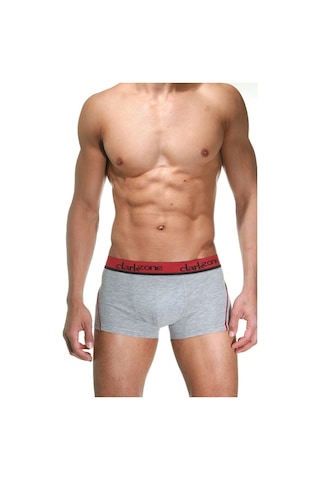 Darkzone Gri Erkek Boxer - Dzn3103