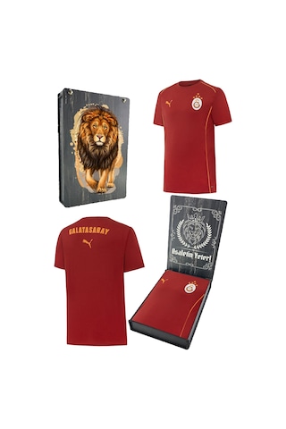 Galatasaray Orijinal Lisanslı Sıfır Yaka Kırmızı Antrenman 5 Yıldızlı T-shirt Gs Aslan Baskılı Hediyelik Ahşap Kutulu Sarı - Kırmızı