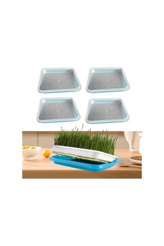 Trendooze 4 Adet Bahçe Filizleme Tepsisi Buğday Çimi Seti