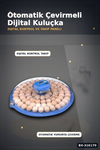 Kuluçka Makinesi Çift Viyollü 80-240 Yumurta Kapasiteli Tavuk Kaz Bıldırcın Bx-316170