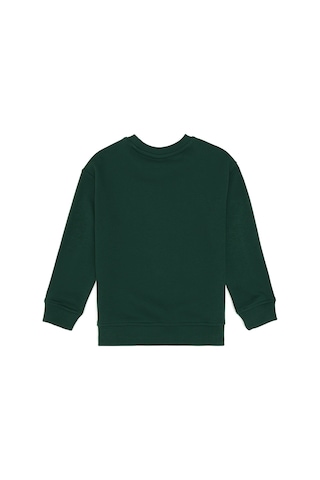 U.S. Polo Assn. Erkek Çocuk Koyu Yeşil Bisiklet Yaka Sweatshirt 50313843-VR079