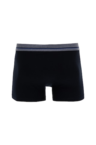 U.S. Polo Assn. Erkek 3'lü Boxer Takımı 50318654-VR033