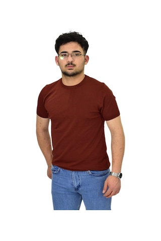 Raymons Erkek Triko Sıfır Yaka Tişört P6035 Bgl-st04505 Tarçın