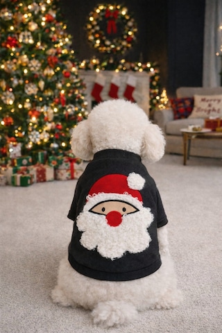 Gedyco Antrasit Xmas Küçük Irk Köpek Likralı Sweatshirt-17052