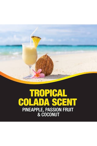 California Car Scents Tropical Colada Tropikal Oto Kokusu