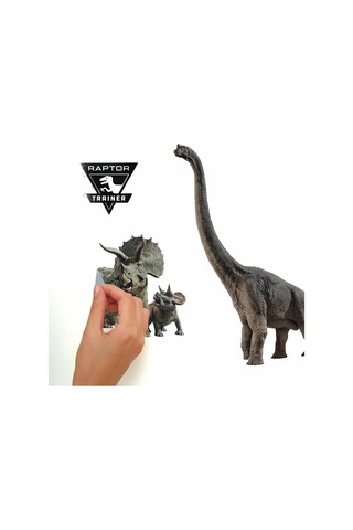 Lexroo Fallen Kingdom Soy Ve Yapıştır Duvar Çıkartmaları, Roommates'ten Rmk3798scs Çok Renkli