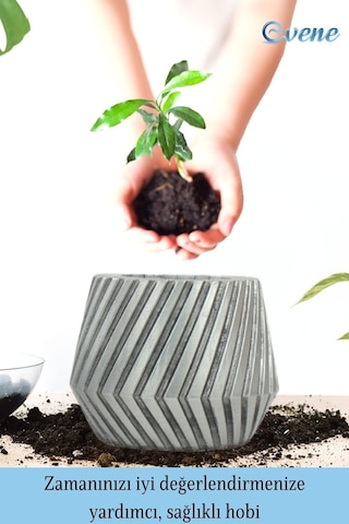 Saksı Çiçek Kaktüs Saksısı Lüx 13 Cm Mekanik Dişli Desen Saksı Çiçeklik - Gümüş Eskitme