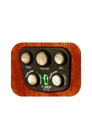 Trumon Wing 950tf-s5 Elektro Akustik Gitar