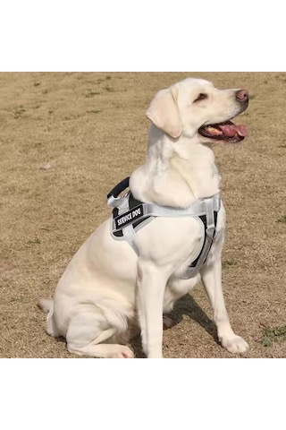 Büyük Köpek Patlama Korumalı Yumruk Göğüs Koşum Köpek Seyahat Tasma, Stil: Tek Siyah Xxl