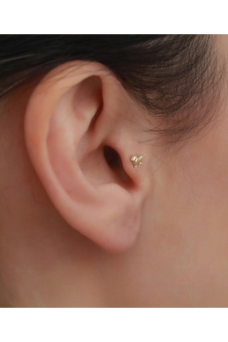 14 Ayar Altın Köpek Motifli Tragus Piercing Sarı Altın