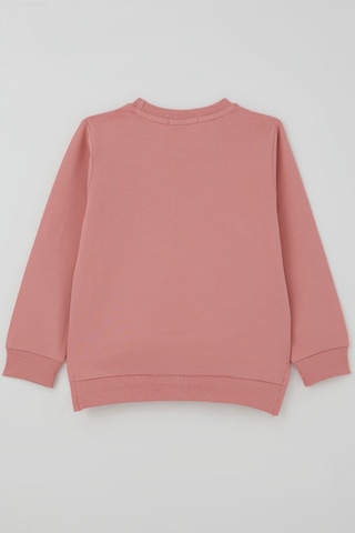 Breeze Kız Çocuk Sweatshirt Sevimli Köpekçik Baskılı Fiyonklu Yazı Baskılı 3-8 Yaş , Gülkurusu