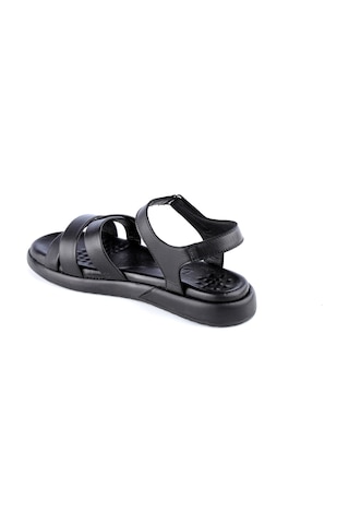 Dexter Ofl1073-220-1 Kadın Sandalet Çok Renkli
