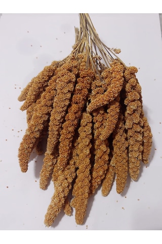 Kızıl Dal Darı Doğal 250 Gr
