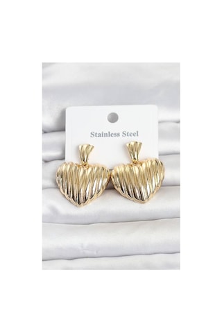 316l Çelik Gold Renk Model Kadın Küpe Tj-bkp11827 Evimdeyokyok