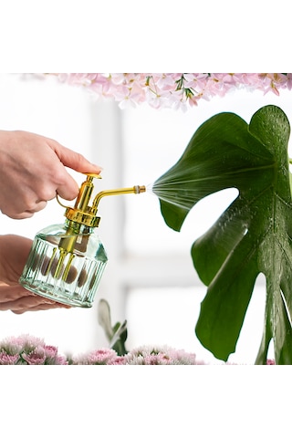 Perotti Vintage Cam Bitki Sulama Şişesi 250 ML Yeşil