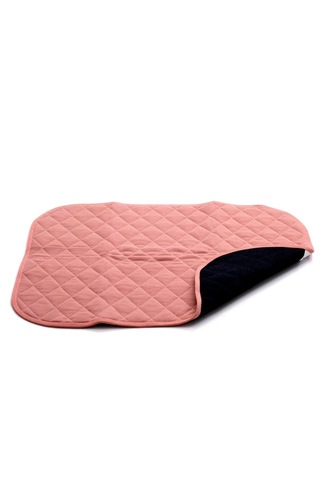 Caretex Abso Yıkanabilir Emici Köpek Pedi 10'lu 40 x 40 CM