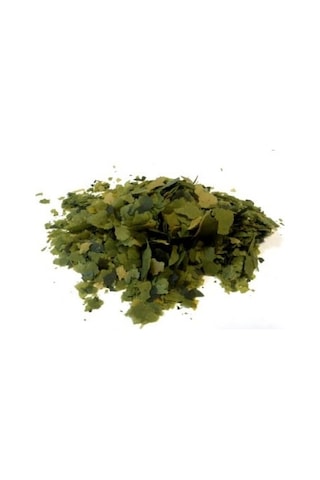 Tetra Phyll Flakes Vegetable Bitkisel Pul Yem 100 Gr