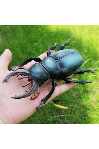 Tenfowee Çocuklar İçin Eğitici Bilgi Verici Böcek Modeli Oyuncak, Fen Ve Doğa Tanıma Hediyesi - Kuvvet Böceği