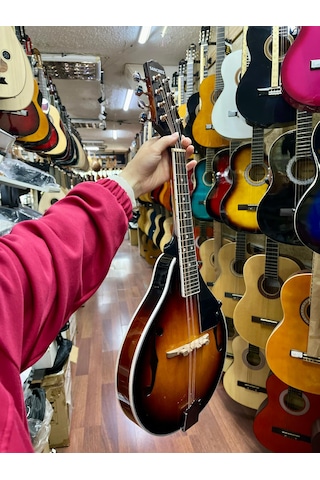 Sanchez Mandolin Mdl11