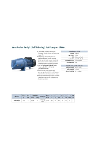 Grandfar Jswm3bm Jet Pompa 2 Hp - Pirinç Çarklı