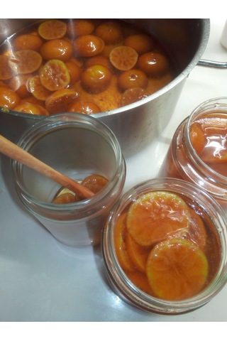 Bodrum Mandalina Reçeli 400g