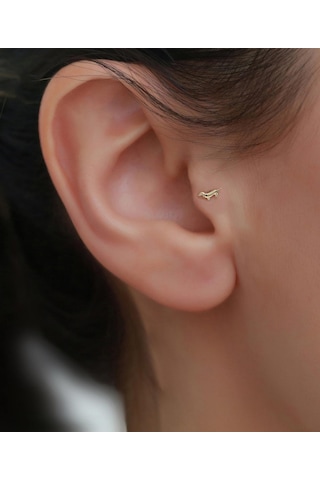 14 Ayar Altın Köpek Motifli Tragus Piercing Sarı Altın