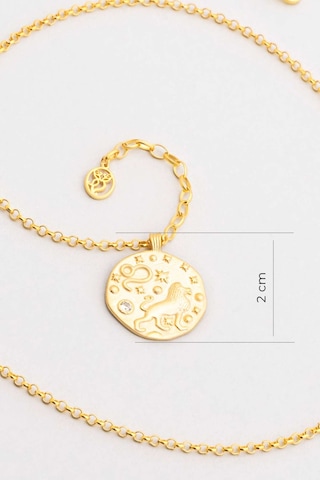 Aslan Burcu 18 Ayar Sarı Altın Kaplama 45 Cm Gümüş Kolye Sarı