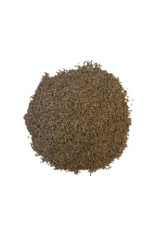 5'li Karışım İthal Çim Tohumu 5 Kg