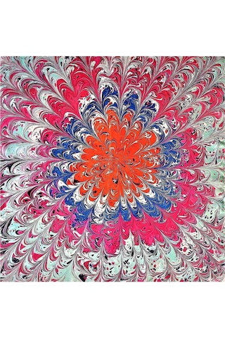 Elif Ebru Ebru Sanatı El Yapımı Özel Koleksiyon Twill İpek Eşarp Ozltıe 18 001