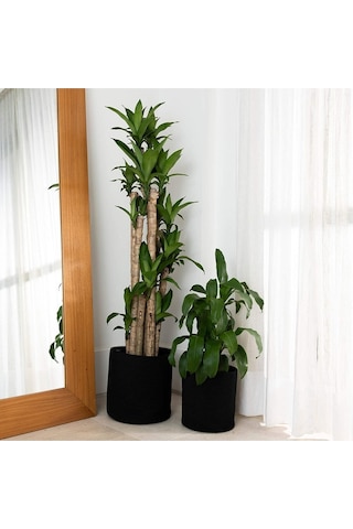 Ikili Dekoratif Jüt Saplı Hasır Sepet Saksı 30 Cm Ve 25 Cm , Dekoratif Saksı Ve Havluluk Siyah