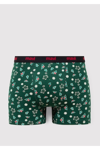 Mavi - Yeşil Basic Boxer 0911251-71871 Yeşil