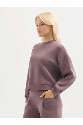 Karaca Kadın Regular Fıt Sweatshırt-mor 12.25w.05.115 Mor