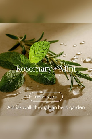 Raw Sugar The Oil Remedy Rosemary + Mint Yağlanma Karşıtı Şampuan 473ml