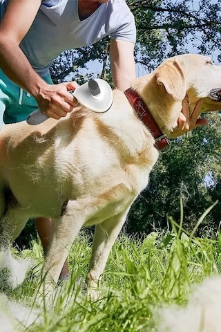 İronika Tuşlu Otomatik Temizlenen Kedi Köpek Tüy Toplayıcı Tarak Evcil Hayvan Fırçası Tarağı