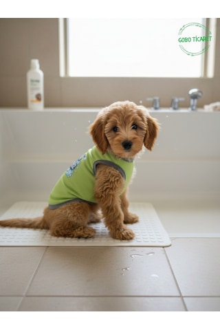 Yeşil Beni Yıka Baskılı Kedi Ve Köpek Kıyafeti Evcil Hayvan Tişörtü Elbisesi Medium/m/beden 2