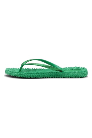 Ilse Jacobsen Fern Green Cheerful01 - Yeşil Simli Parmak Arası Terlik-6948 Yeşil