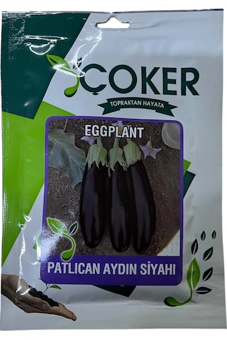 Çoker Aydın Siyah Patlıcan Tohumu 25 Gr