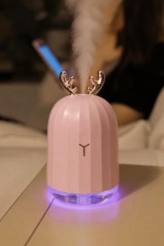 Premium Salon Alışveriş Hediyelik Hava Nemlendiricisi Buhar Makinesi 220 Ml Pembe H1